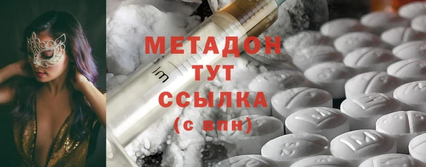 прущие грибы Балабаново