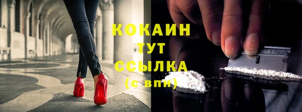 винт Протвино