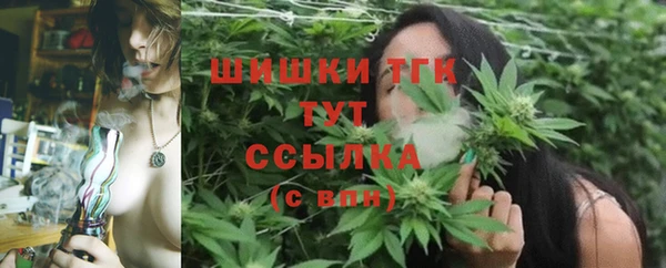 прущие грибы Балабаново